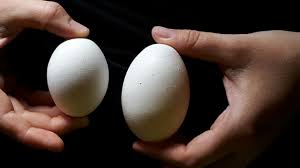 Riesiges Huhner Huhner