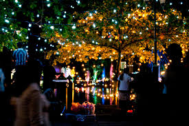 Vesak day full blue moon energy update reading. Das Vesak Festival In Sri Lanka 2021