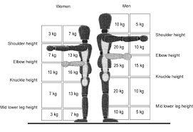 manual handling in depth croner i