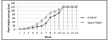 Tomato Plant Height During 14 Weeks Of Field Trials