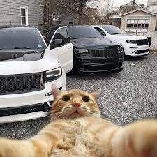 Pin By Hector Garcia On Challenger Charger Viper Srt Car Dealer Srt Land Cruiser