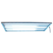 We did not find results for: Sun System New Wave 48 T5 Ho Fluorescent Light Fixture 277 Volt Clone Seedling Lights Propagation