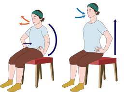 １日10回で反り腰を改善 イスに座ってできる簡単腰丸めストレッチ 川口陽海の腰痛改善教室 第12回 サライ jp 小学館の雑誌 サライ 公式サイト 腰痛 改善 腰 ストレッチ 腰