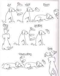 Dog Training Hand Signals Chart Dog Commands Dog Training