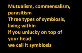 Birdman Money To Blow Mr Lee Symbiosis Rap Teaching Science Elementary Science High School Science