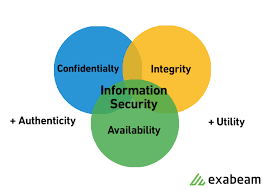 Information Security Policy Everything You Should Know Exabeam