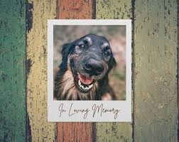 All too many of us experience the tragic or traumatic death of our companions.others experience an. Pet Loss Memorial Gift Ideas Pet Sitters International