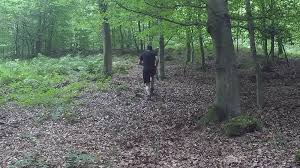 Check spelling or type a new query. La Marche Rapide En Pente