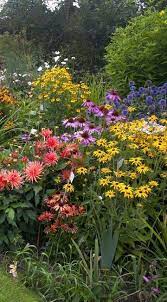 How To Create A Herbaceous Border On A Budget Beautiful Flowers Garden Cottage Garden Cottage Garden Design