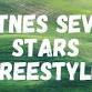 SILC Class and Totnes Freestyle event image