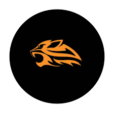 Cheetah Billiard Academy