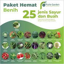 Maybe you would like to learn more about one of these? Paket Bibit Benih 25 Jenis Sayur Dan Buah Shopee Indonesia