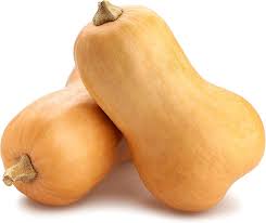 Image result for Cucurbita moschata