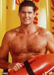 David hasselhoff has become one of the most recognizable faces on television and throughout the world. Baywatch Stars Then And Now Daily Mail Online