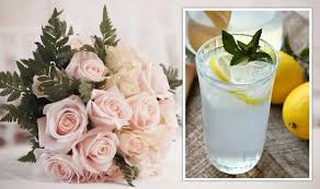 Simple tips to make fresh cut flowers last longer. Gardening Tips How To Keep Flowers Fresh Using Lemonade Express Co Uk