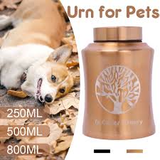Pet relocation services company run by veterinarians, regulatory professionals and animal care professionals. Stainless Steel Pet Cremation Urn Keepsake Ashes Urns Dog Cat Funeral Ebay