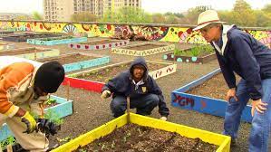 Pin On Gardening