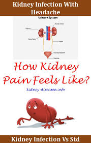 Pin On Kidney Disease Migraine