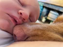 About — Jess Oldfield Nutrition