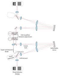 Click here to view our vision simulator to better understand the visual benefits of our different lens option. Advanced Physiological Optics Laboratory University Of Rochester Binocular Adaptive Optics Vision Simulator