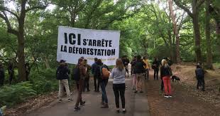 Définition de troubles de voisinage : Suspension Des Travaux Dans La Foret Du Madrillet Une Premiere Belle Victoire Ville De Saint Etienne Du Rouvray Site Officiel