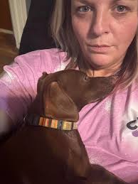 Hello, my name is Teddy, and I'm 20 weeks old and I've just found my  forever home