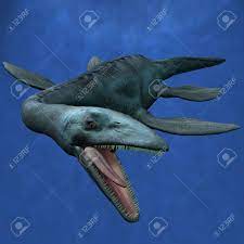 It had 71 cervical vertebrae. Elasmosaurus Lizenzfreie Fotos Bilder Und Stock Fotografie Image 894313