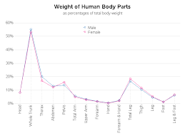 Human Body Part Weights