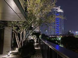 首頁 明森聯合建築師事務所明森樹 plants