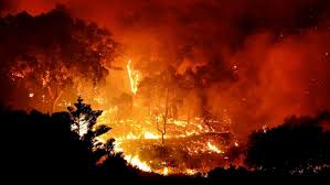 Vê num mapa o estado dos incêndios florestais em portugal. Dois Incendios Florestais Activos Ontem Em Aveiro Terranova