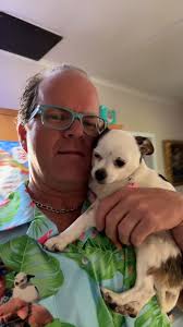 Senior Chihuahua won't go to bed until her mom is in bed — and makes her  dad get up in the middle of the night, every night!, We talked to David  about how he went from not loving little dogs to being ...