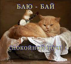 pin na doske spokojnoj nochi