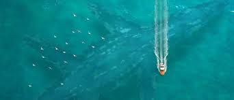 Don't take our word for it: 26 Creepy Thalassophobia Pictures Fish Illustration Big Fish Environment Concept Art