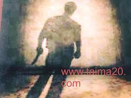 أخطر أنواع الكلاب أعمارها وأسماؤها بالصور Movie Posters Movies Poster
