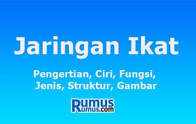 Posting terkait jaringan pengikat longgar jaringan pengikat longgar memiliki matriks besar dengan banyak sel dan serabut. Jaringan Ikat Pengertian Ciri Fungsi Jenis Struktur Gambar