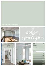 Sherwin williams sea salt is that color! Sherwin Williams Sea Salt Color Spotlight