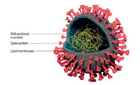 Latest public health information from cdc. Anti Viral Surface Coating To Prevent The Spread Of Covid 19 Through Touch 2020 05 01 Pci Magazine