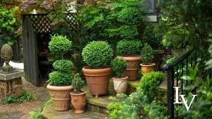 Morning Garden Tour 4 29 20 Linda Vater Youtube Garden Tours Shade Plants Privacy Plants