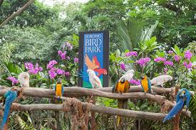 It can be reached by car, and there is ample parking available for a fee. Visit Singapore Zoo And Jurong Bird Park For A Day Of Fun Outlook Traveller