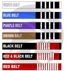 Professor marcelo bonança, from gracie barra sainte anne de. Brazilian Jiu Jitsu Belt Chart Jiu Jitsu Belts Bjj Brazilian Jiu Jitsu Tattoo