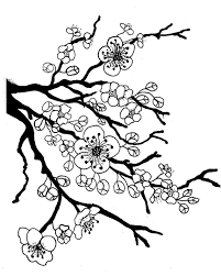 Prunus serrulata cerasus cherry blossom, white cherry blossoms, leaf, black white, branch png. Cherry Blossom Coloring Pages Tree Coloring Page Flower Coloring Pages Leaf Coloring Page