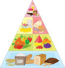 Food Pyramid An Illustration Of The Food Pyramid Affiliate Pyramid Food Food Illustration Ad Food Pyramid Fruit Illustration Pyramids