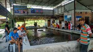 Kolam Memancing Udang Reko 163 Photos 2 Reviews Sports Recreation Jalan Reko Bandar Baru Bangi 43600 Bangi Selangor Malaysia