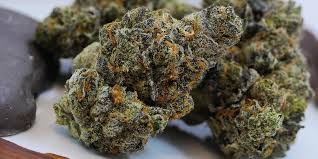 Image result for indica strains