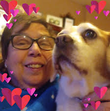 When to transition from walker to cane after total knee replacement?