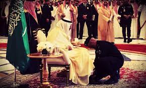 pin on معرض الصور والمنوعات