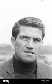 Bertie black hi-res stock photography and images