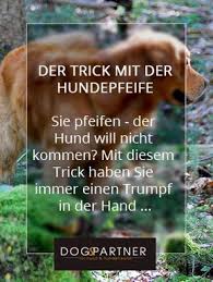 Der Trick Mit Dem Pfiff In 2020 Hundetraining Hundchen Training Hunde