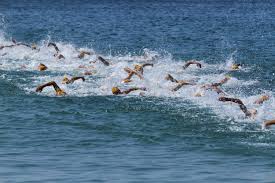 Join british triathlon and take part in our sport. Three Upcoming Dubai Triathlons To Check Out Sport Things To Do Time Out Dubai