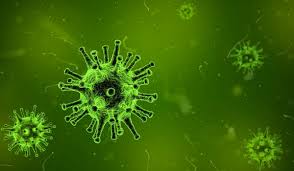 If so, the following legal requirements apply: Infos Zum Corona Virus In Italien Italien De
